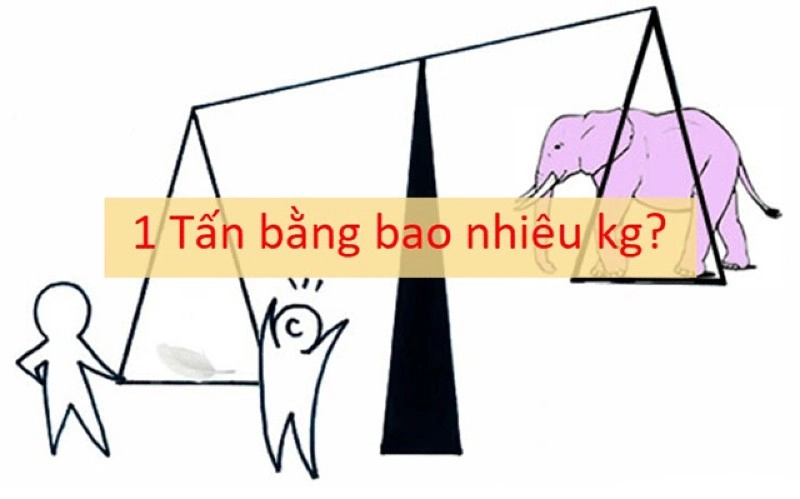 1-tan-bang-bao-nhiều-ta-2