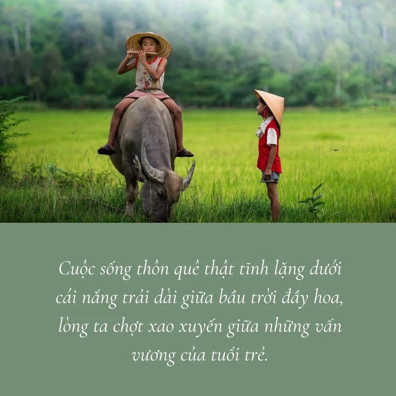 stt về quê trồng rau nuôi cá