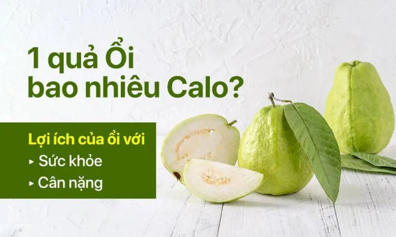 ôi-bao-nhiêu-calo