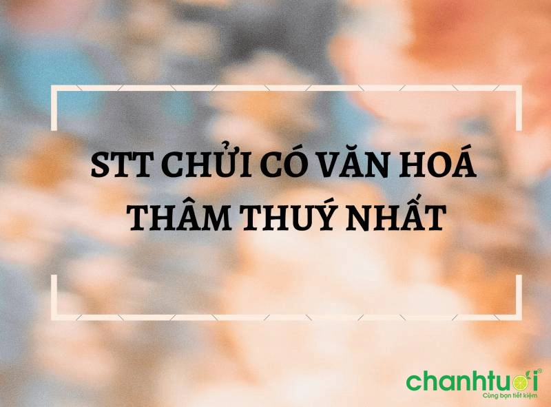 stt-chui-co-van-hoa