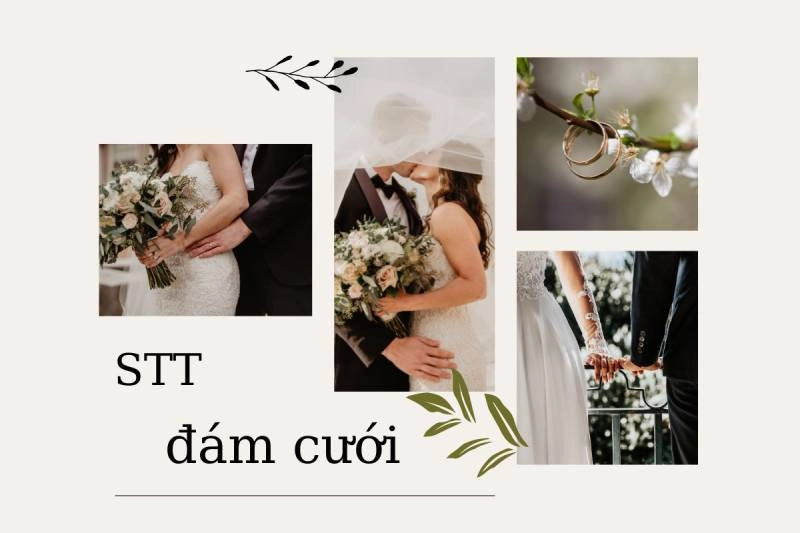 Có rất nhiều stt, cap hay về ngày cưới