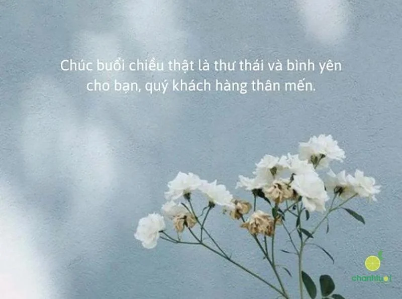 Lời chúc buổi chiều 5