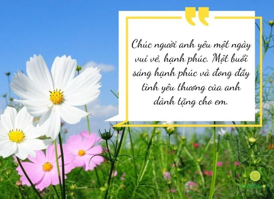 thiệp chúc mừng ngày mới 42