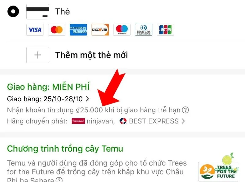 Temu luôn miễn phí vận chuyển hoặc chỉ cho đơn hàng đầu tiên 2