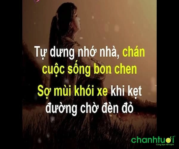 stt-ve-cuoc-song-xa-hoi-8-1668908777