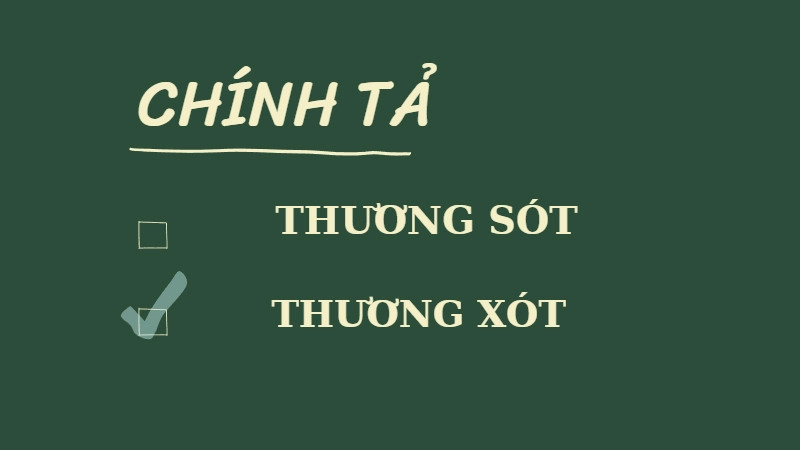 sai-sot-hoặc-sai-xot