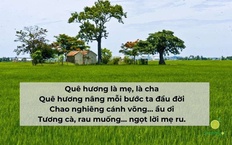 thơ về quê hương 8