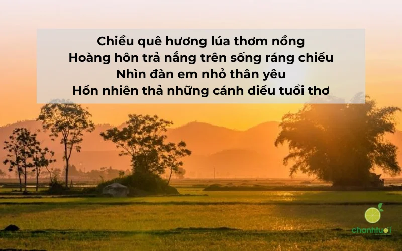 thơ về quê hương 5