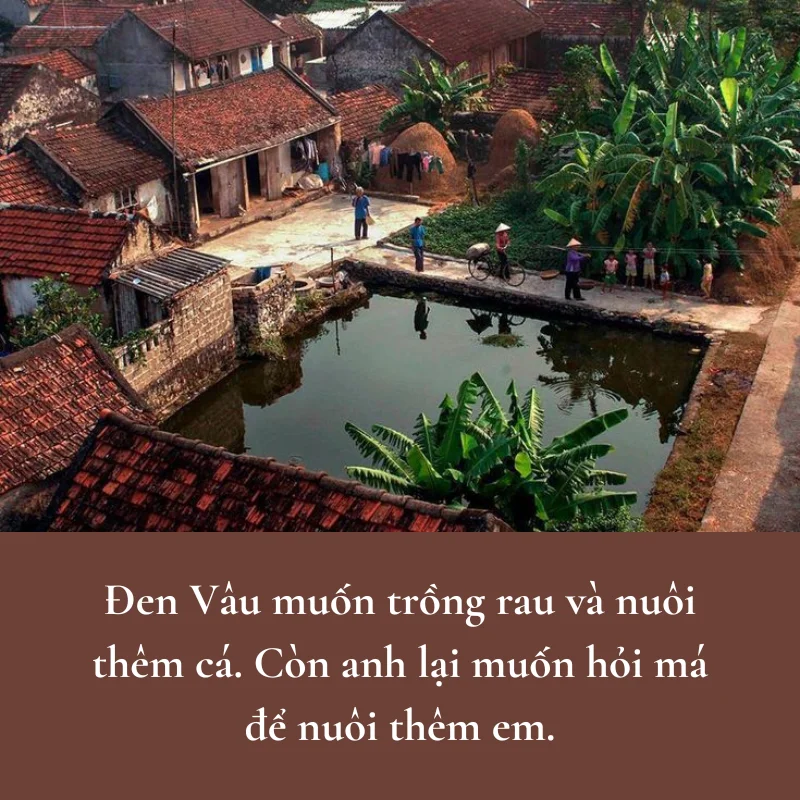 Stt về quê trồng rau nuôi cá (5)