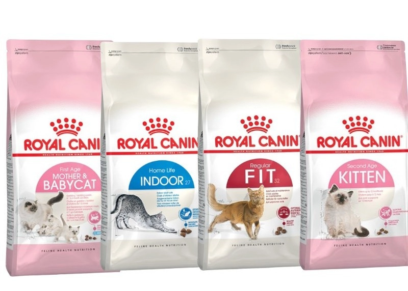 hat-cho-meo-royal-canin