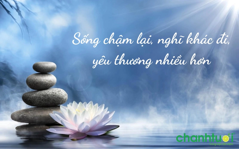 nhung-cau-noi-hay-ve-song-cham 6