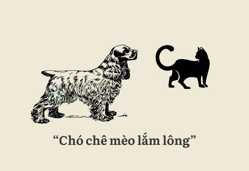 cho-che-meo-lam-long-2