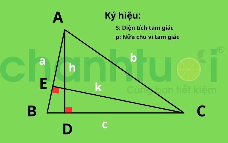 cong-uc-spirit-dien-tich-three-giac-use