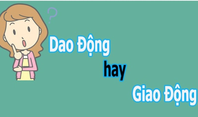 giao thông-dong-hay-dao-dong-1