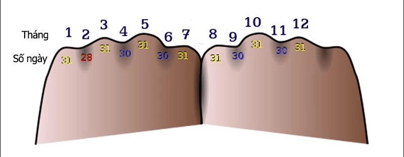 one-nam-co-phủ-1-1