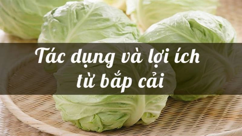 bap-cai-bao-nhieu-calo-05