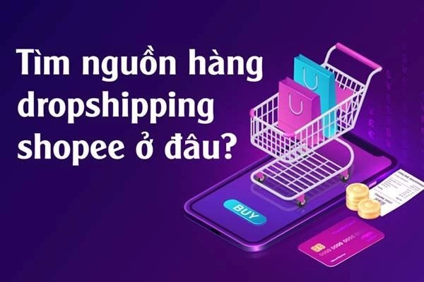 shopee-dropshipping-2