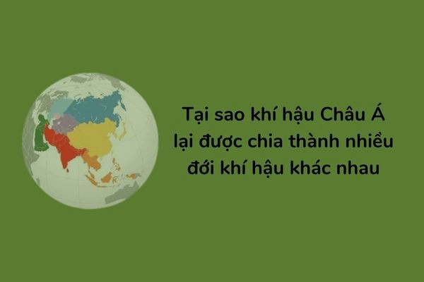 câu hỏi-a-làm-thế-nào-khi-hau-2