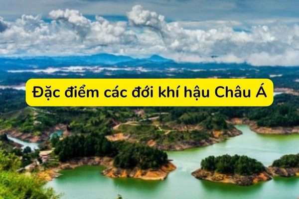 chau-a-làm-thế-nào-khi-hau-1