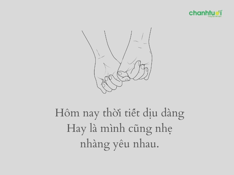 Hôm nay trời ôn hòa, hay có lẽ tôi cũng ôn hòa 