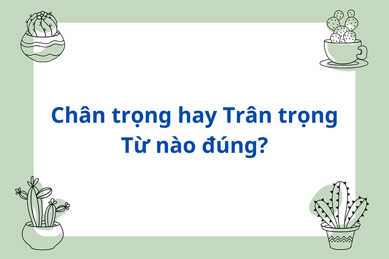 chan-trong-hay-trần-trong