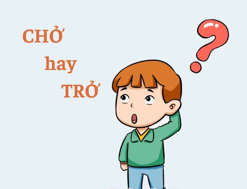 cho-hoặc-tro từ nào đúng?