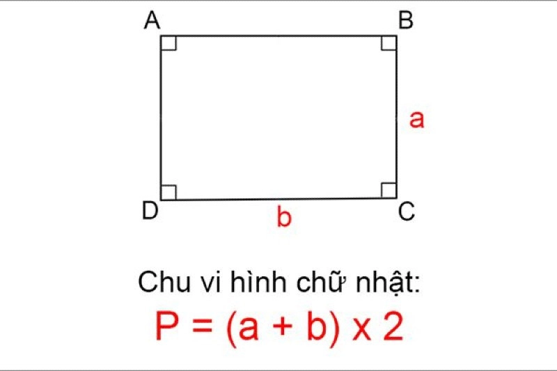 hình ảnh đời thực-chu-nhat-1