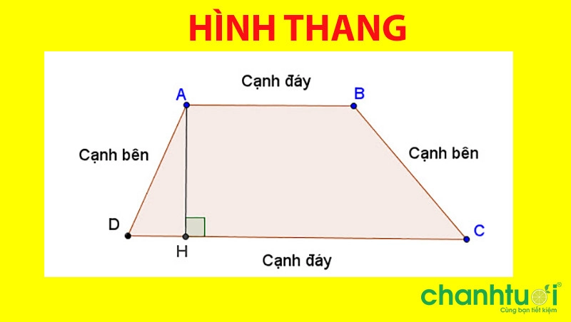 cong-food-crystal-dien-tich-hinh-thang-1