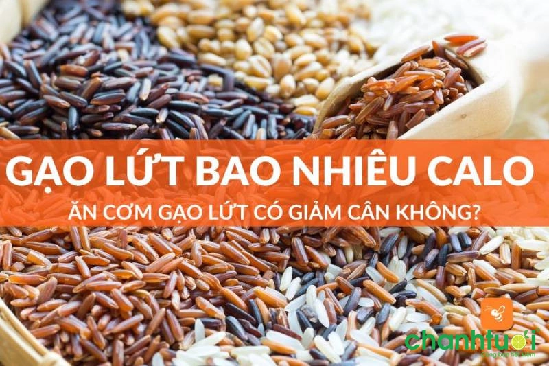 bao nhiêu calo-hạt-hạt