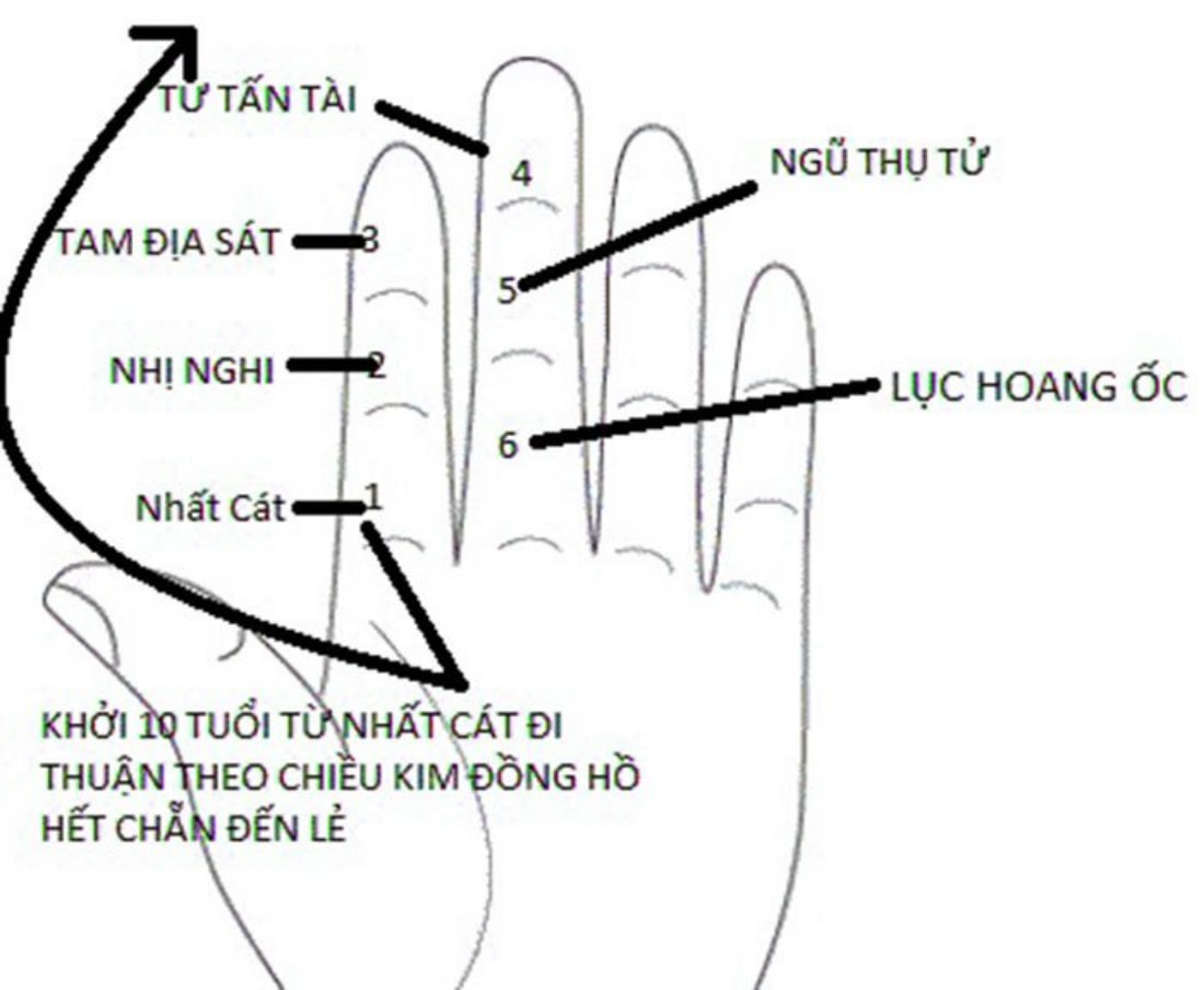 Simple interpretation of the term Hoang Oc on the 6 index and thumb phalanges