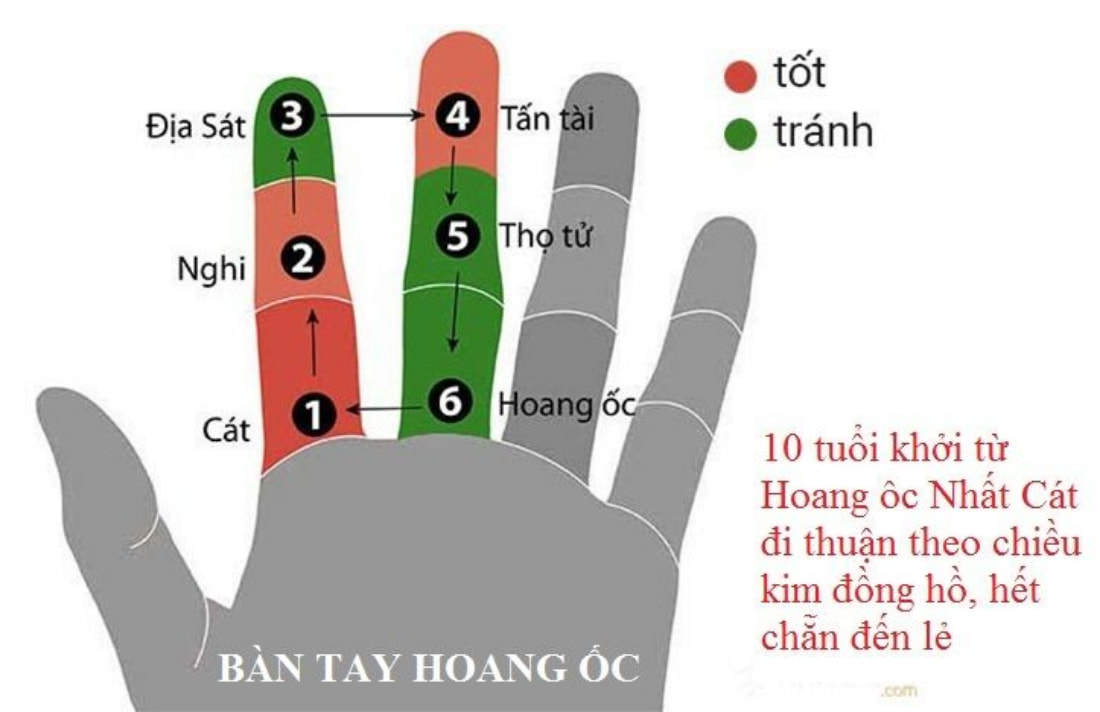 How to calculate Hoang Oc based on the hand