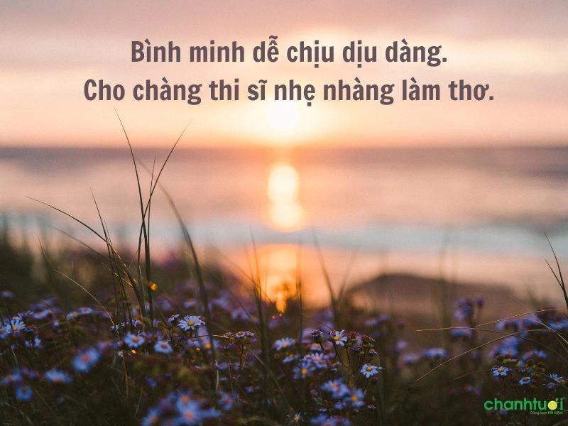 trạng thái-bình-minh-1