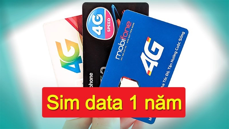 sim-4g 1