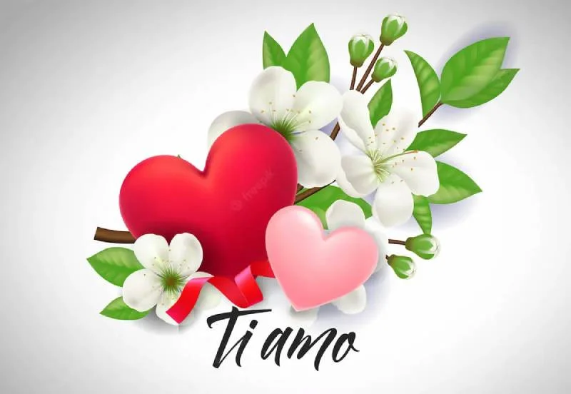 tiamo-la-gi-1