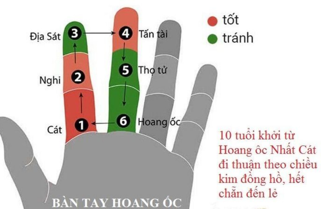 Hoang Oc's hand