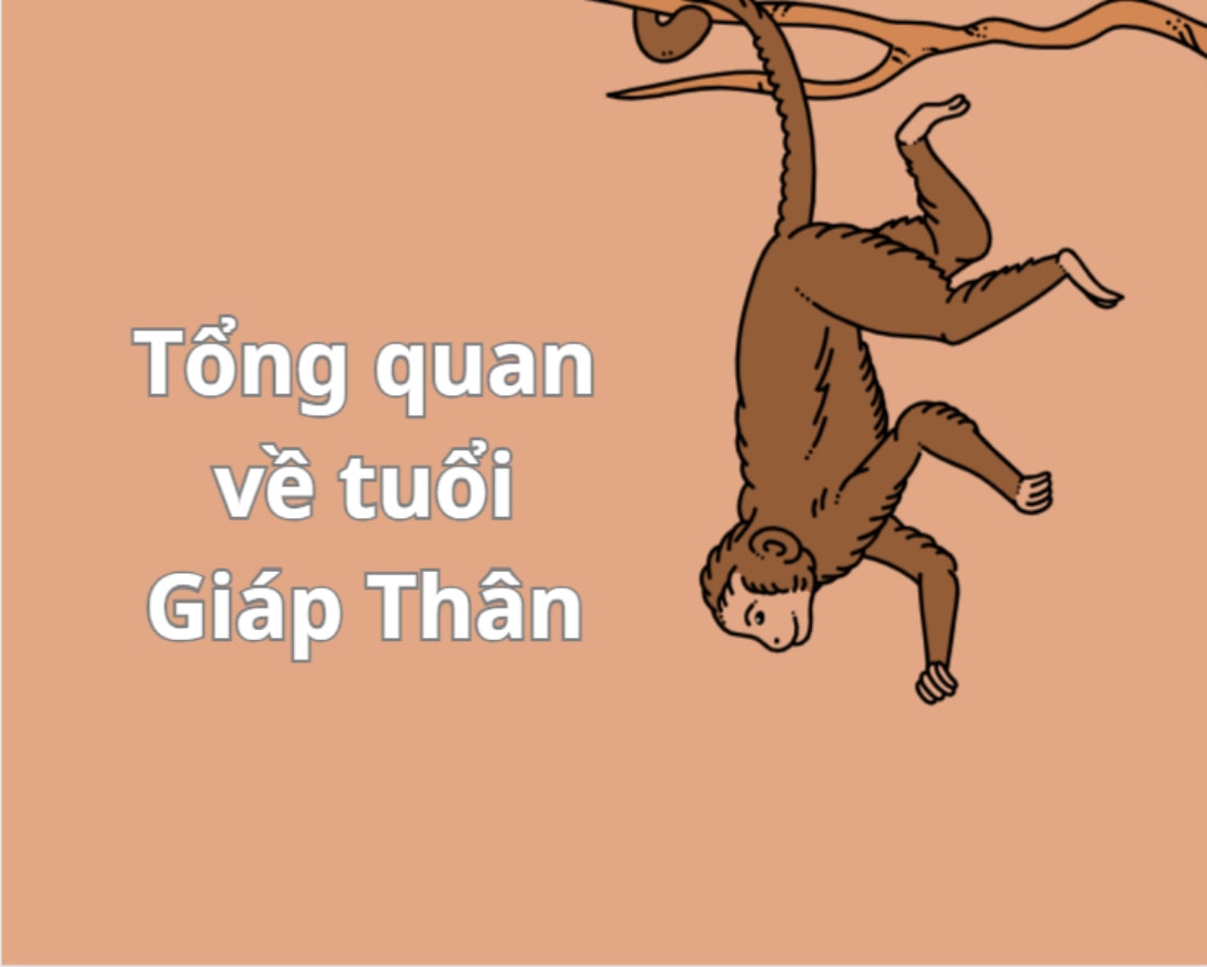 Overview of Giap Than age