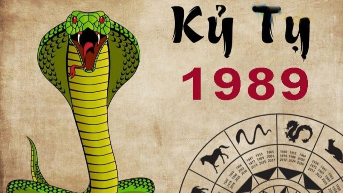 Overview of the year of the Snake