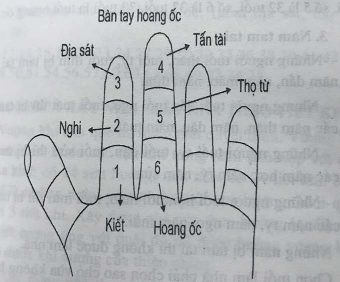 Bàn tay Hoang ốc  Những lưu ý quan trọng khác mà gia chủ Mậu Ngọ cần lưu ý